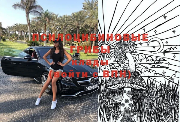 хмурый Михайловск